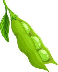 Wall Mural - Raw soy, isolated soybean, legume green pod