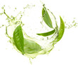 Green herbal tea wave splash with leaves flow