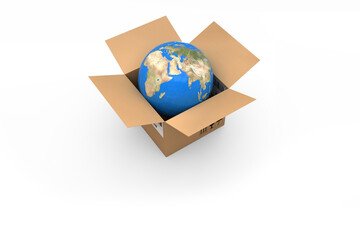 Canvas Print - Vector image of globe in cardboard box