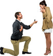 © vectorfusionart - Man offering engagement ring to partner