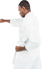 Wall Mural - Fighter performing karate stance