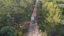 a green travel camper van driving inside a thick forest in nazare portugal at sunset
