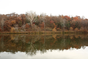 Poster - autumn trees reflected in water