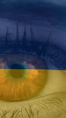 Poster - Animation of flag of ukraine waving over open eye of caucasisan woman