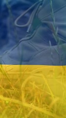 Poster - Animation of flag of ukraine over boots of soldiers