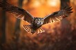 Great Horned Owl in flight with warm summer sunlight