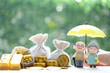 Mutual fund,Love couple senior and hand holding the umbrella with gold coin money in the bag on natural green background, Save money for prepare in future and pension retirement concept