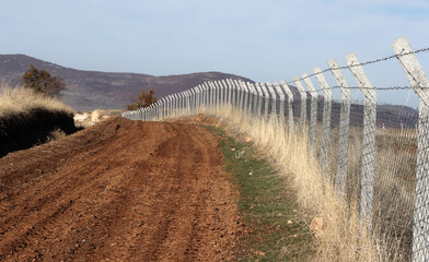 Poster - Dirt road passing in the middle of farms with fence