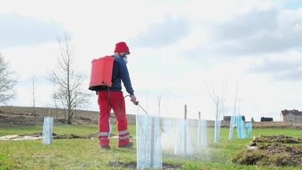 Wall Mural - Man gardener is spraying saplings by copper or iron vitriol. Pest control. Backpack or knapsack or shoulder-mounted battery sprayer for protecting trees and plants from diseases and pests. Gardening.