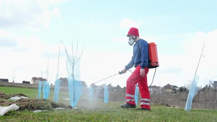 Wall Mural - Man gardener is spraying saplings by copper or iron vitriol. Pest control. Backpack or knapsack or shoulder-mounted battery sprayer for protecting trees and plants from diseases and pests. Gardening.