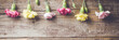 Carnation flowers on wooden table