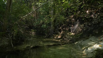 Canvas Print - Beautiful view of woods in Lost Creek in Allen TX with river, rocks and light falling from trees