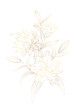 Gold lily flowers bouquet isolated on white background.  Detailed lili peony flowers sketch outline drawing. 