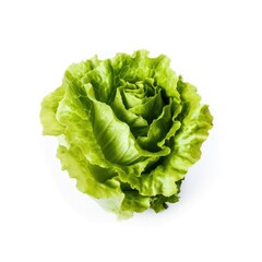 Wall Mural - Fresh green lettuce ingredient for cooking isolated with a white background Generative AI Illustration