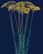 Ilustracja grafika wysoka trawa z kolorowymi żółtymi kuleczkami motyw roślinny na niebieskim tle.