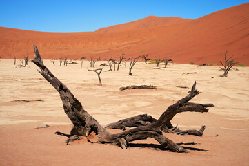 Canvas Print - Namibian desert landscape