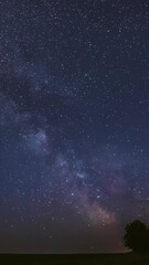 vertical footage milky way galaxy in night starry sky above lonely tree in summer meadow. glowing st