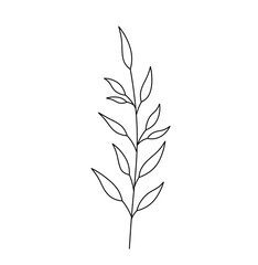 Wall Mural - Vector isolated one single simplest vertical branch with leaves colorless black and white contour line easy drawing