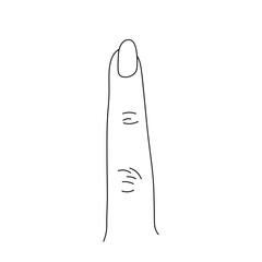 Wall Mural - Vector isolated one single woman index finger with nail  colorless black and white contour line easy drawing