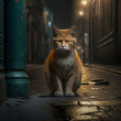 A cat sitting on the street