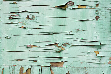 Peeled paint on a wooden wall. peeling paint