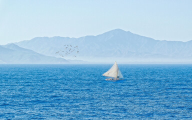 Wall Mural - Sailboat on Foggy Sea