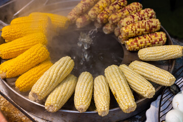 Canvas Print - Steamed of different corn sell in street market