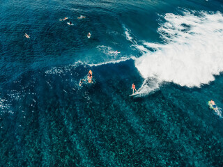 Wall Mural - Aerial view with surfer on wave. Perfect waves with surfers in tropical ocean