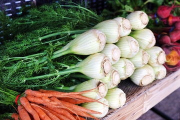 Canvas Print - market fennel