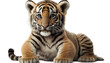 Baby tiger sitting, transparent background	
