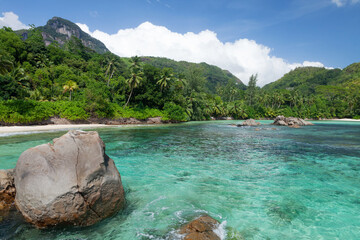 Wall Mural - Tropical beach with palm trees