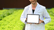 © Prathankarnpap - Agricultural scientists hands holding digital tablet with blank screen standing in greenhouse