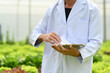 © Prathankarnpap - Cropped shot of male agricultural researcher recording data from during observing vegetable in industrial greenhouse
