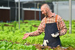 © Prathankarnpap - Portrait of caucasian male small business owner with digital tablet standing among vegetable in greenhouse