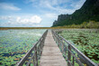 THAILAND PRACHUAP SAM ROI YOT LOTUS LAKE