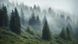 © Yeti Studio - Foggy landscape with spruce forest. Based on Generative AI