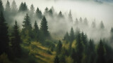 Fototapeta  - Foggy landscape with spruce forest. Based on Generative AI