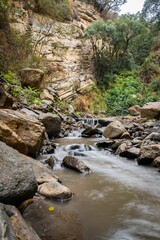 Sticker - Long exposure of a river in a green forest