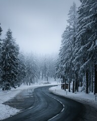 Sticker - Vertical shot of the winding street between the snow-covered forest trees in winter