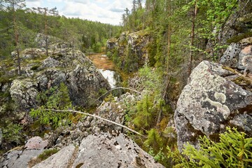 Sticker - Image of a forest full of big rocks, trees, and a river.