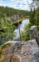 Poster - Image of a river in the forest with the reflections of trees on the water.