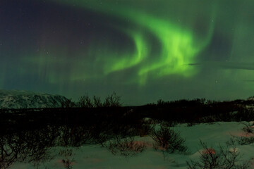 imagen de un paisaje nocturno nevado con una aurora boreal en el cielo de islandia