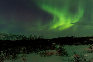 imagen de un paisaje nocturno nevado, con montañas de fondo, y una aurora boreal sobre el cielo de i