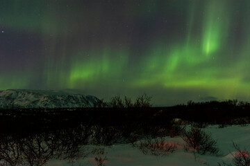imagen nocturna de un paisaje nevado con una aurora boreal en el cielo nocturno de islandia