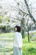 © peach100 - 桜の花を見るショートヘアの女性