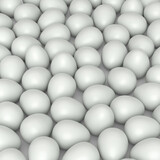 Fototapeta Perspektywa 3d - Many farm raw organic white chicken eggs background from local market