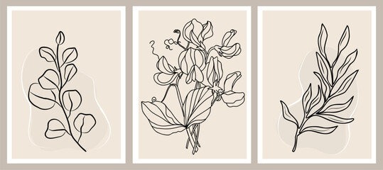 Wall Mural - Botanical wall art vector set. Nordic line art drawing with Sweet Pea flower and eucalyptus leaves. Abstract Plant Art design for print, cover, wallpaper. Beige and black vector illustration.