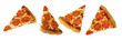© Ruzanna - Sliced pizza slices with sausage
