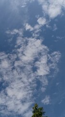 Wall Mural - blue sky and clouds