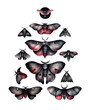Set of black and red watercolor Moths and butterflies, gloomy style, isolated illustrations created with Generative AI technology